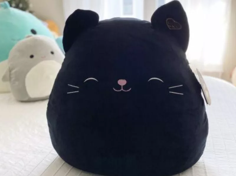 Rare Squishmallows That Are Very Valuable Rare Squishmallows That Are Very Valuable